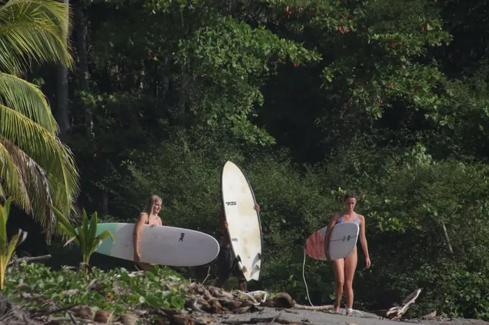 Three surfers heading out of the jungle to the beach with their boards